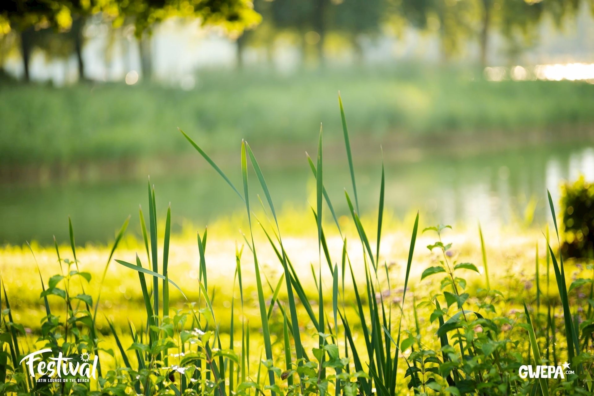 Trouwlocatie aan het water, Hofstede de Middelburg, Feestlocatie aan het water
